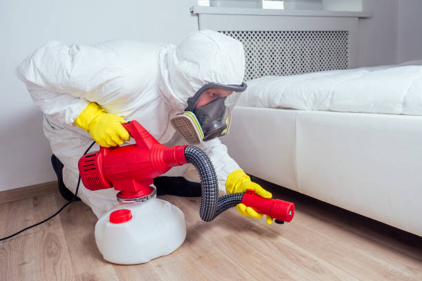Trusted Timmonsville, SC Pest Control Experts