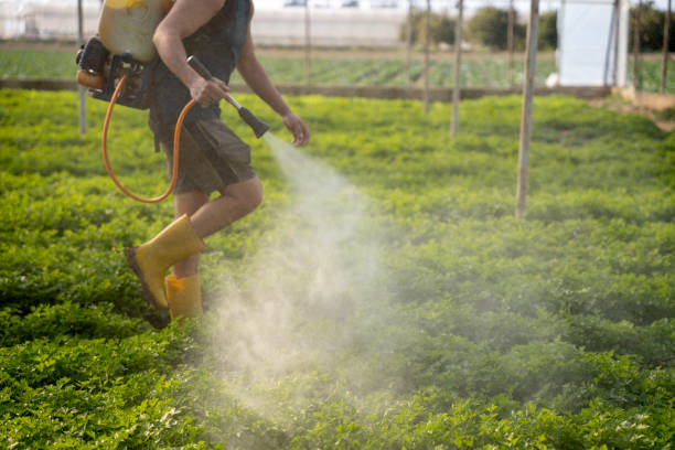 Best Pest Control Treatment  in Timmonsville, SC