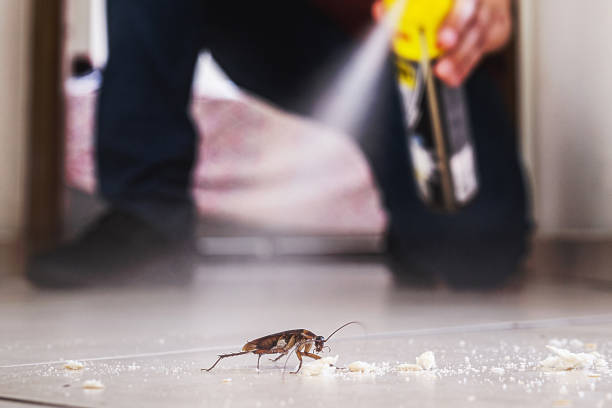 Pest Prevention Services in Timmonsville, SC
