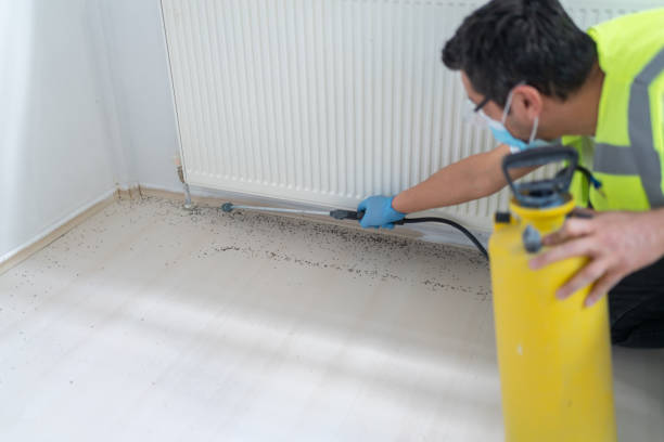 Best Pest Prevention Services  in Timmonsville, SC