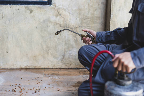 Best Pest Inspection Near Me  in Timmonsville, SC