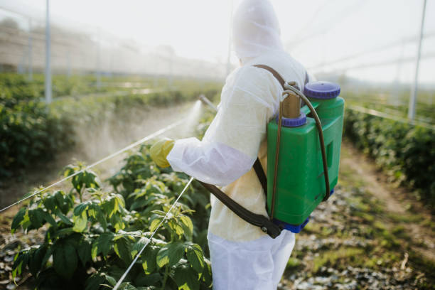 Best Bed Bug Extermination  in Timmonsville, SC